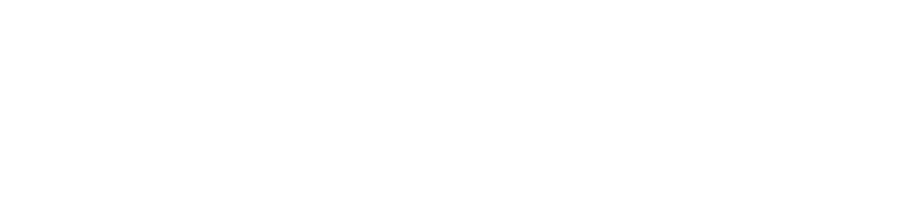 Sotefin logo